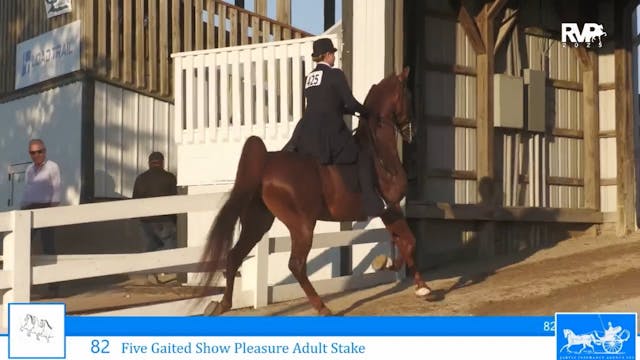 SSC25 - Class 82 - Five Gaited Show P...