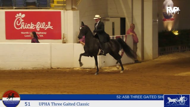 SC24 - Class 52 - ASB Three Gaited Sh...