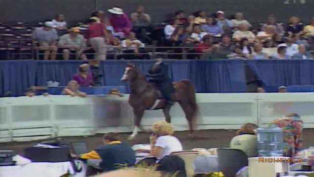 2002 WCHS Class 74 Three Gaited Show ...