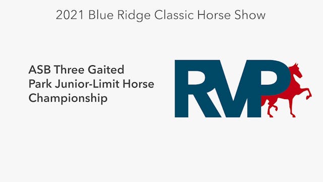 BR21 - Class 197 - ASB Three Gaited P...