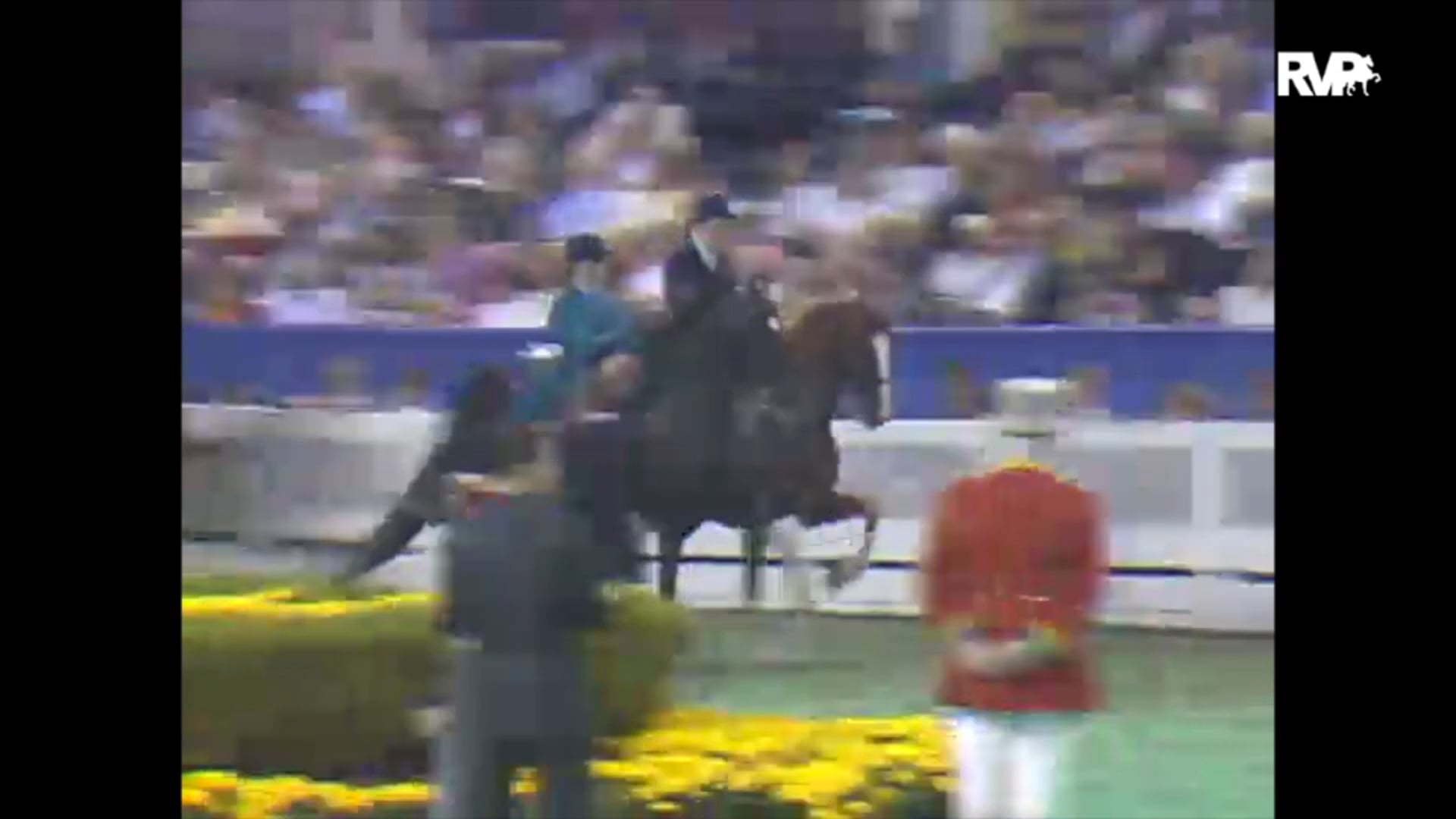 1993 WCHS Class 153 Junior Exhibitor Five Gaited
Championship