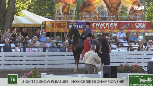 2016 RC - Class 76 Three Gaited Show ...