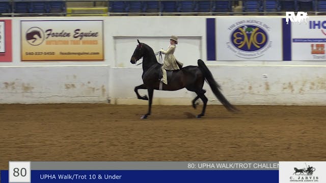 BB22 - Class 80 -  UPHA Walk-Trot 10 ...