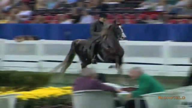 2002 WCHS Class 122 Country Pleasure ...