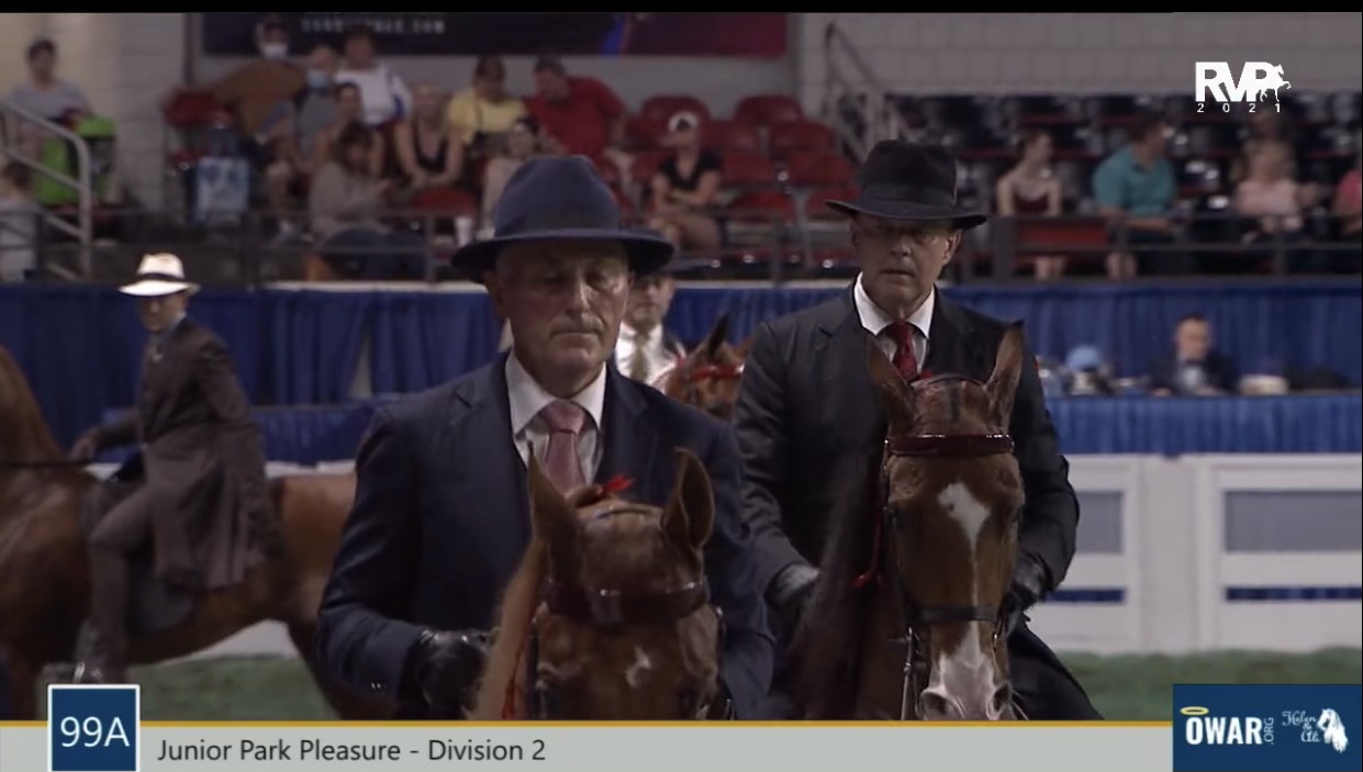 2021 World's Championship Horse Show - Tuesday Morning - August 24