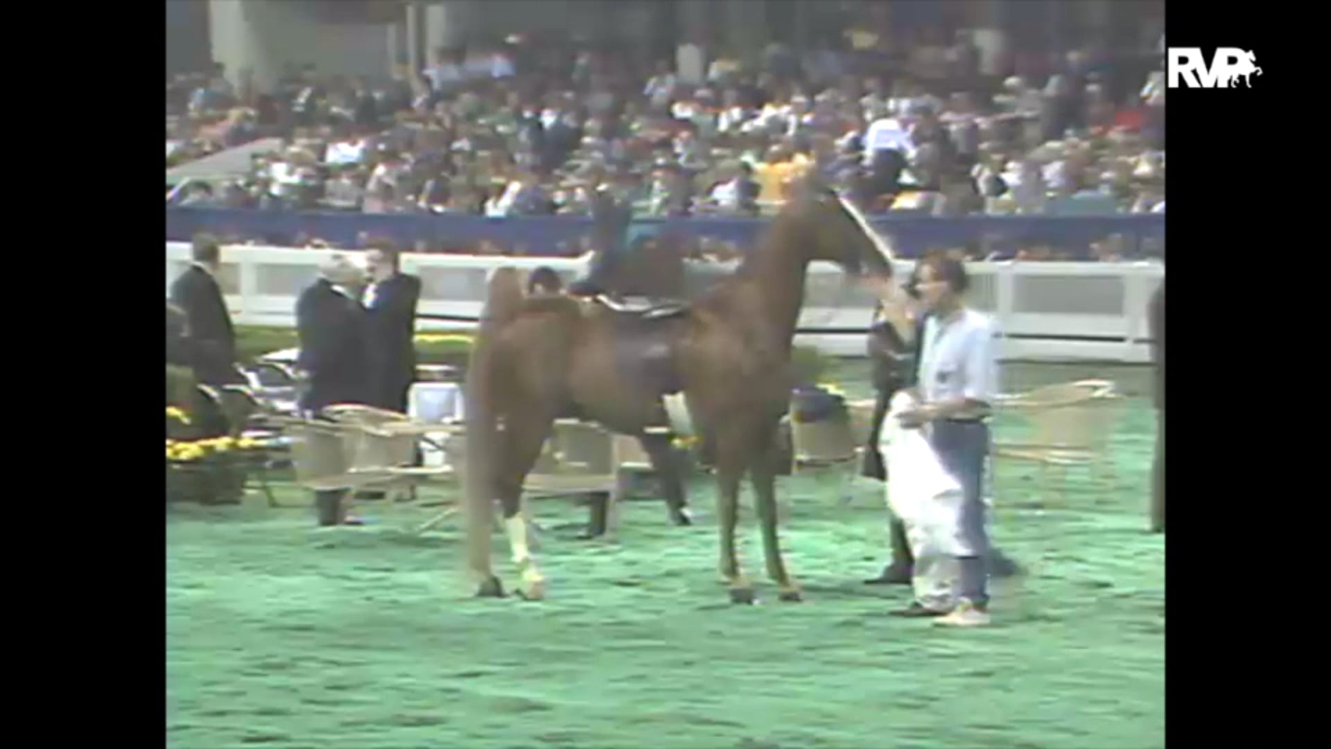 1993 WCHS Class 170 Junior Exhibitor Three Gaited 
Rider 15-17 Championship