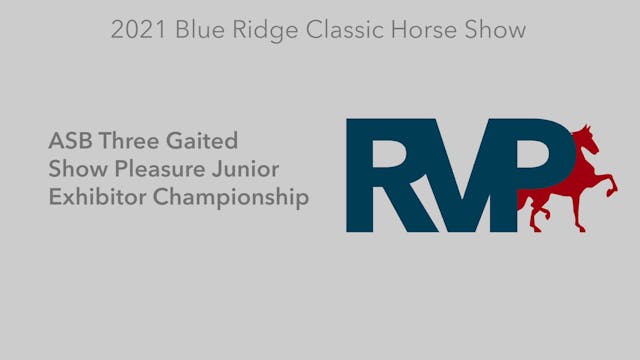 BR21 - Class 170 - ASB Three Gaited S...