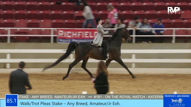ASW21 - Class 85.1 - Walk-Trot Pleasu...