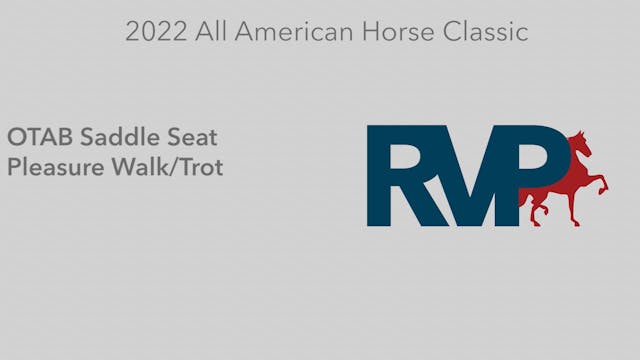 AAC22 - Class 93 -  OTAB Saddle Seat ...