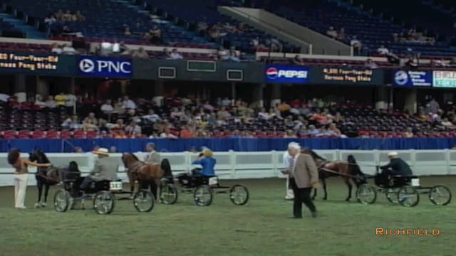 2002 WCHS Class 80 Four Year Old Harn...