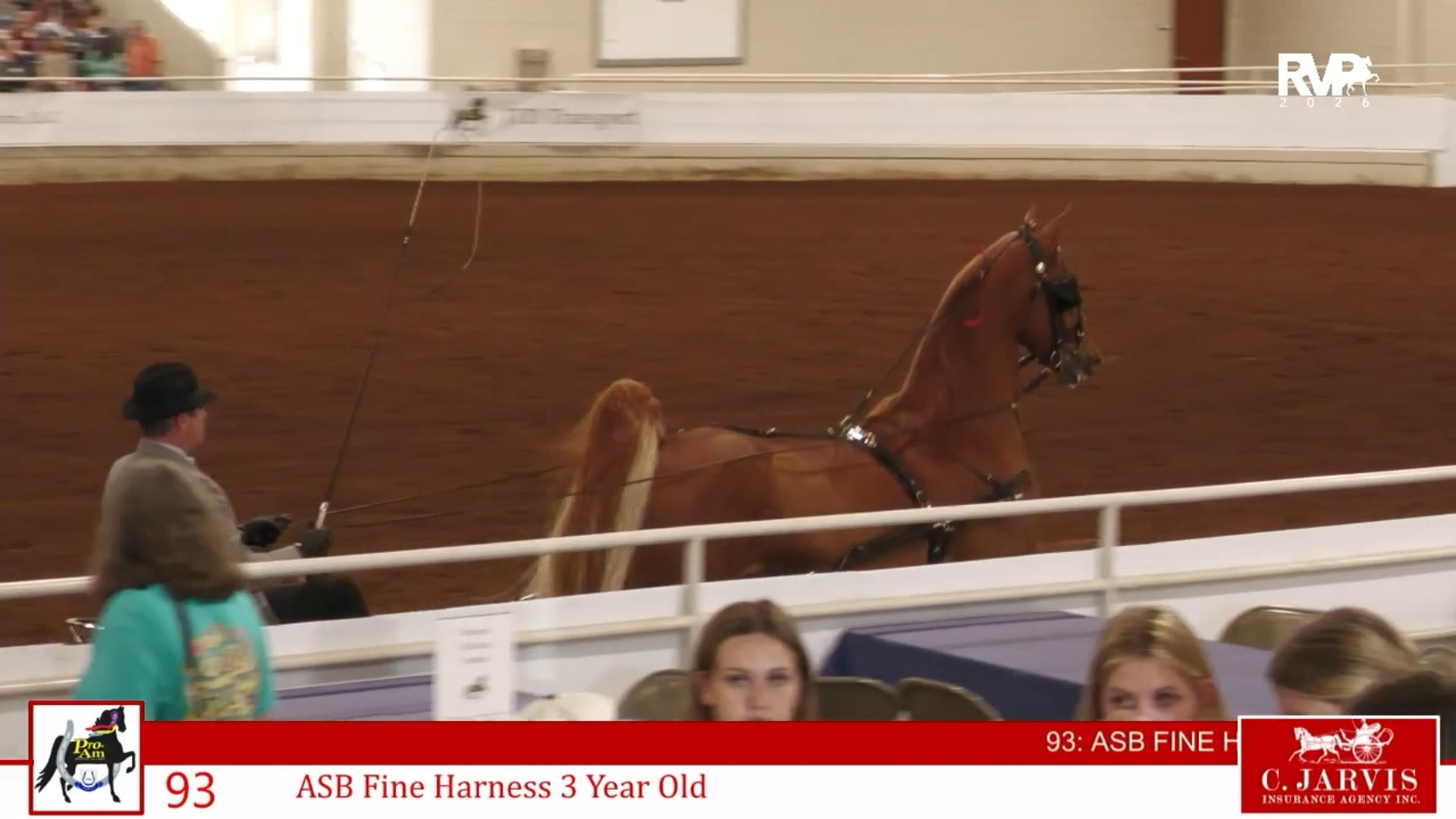 ProAm26 - Class 93 - ASB Fine Harness 3 Year Old