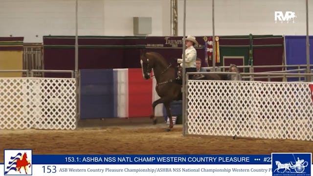 AAC25 - Class 153 - ASB Western Count...