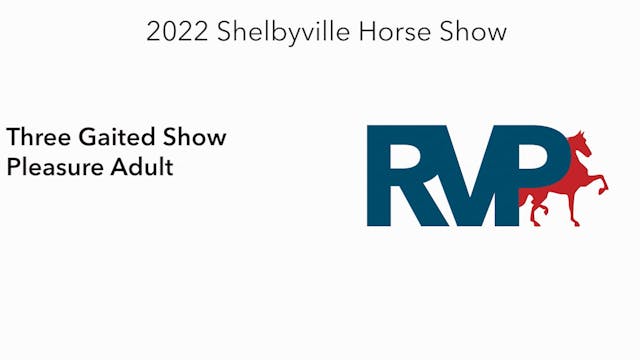 SHS22 - Class 23 -  Three Gaited Show...