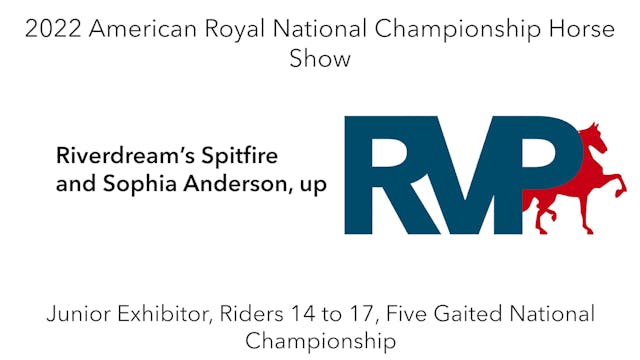AR22 - Class 181 - Riverdream’s Spitf...