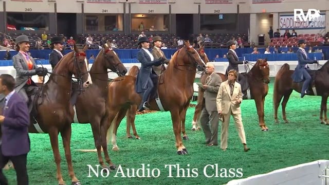 2013 World's Championship Horse Show ...