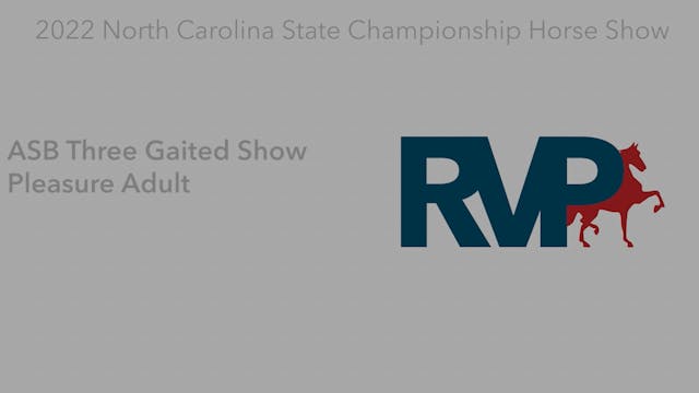 NCSC22 - Class 27 -  ASB Three Gaited...