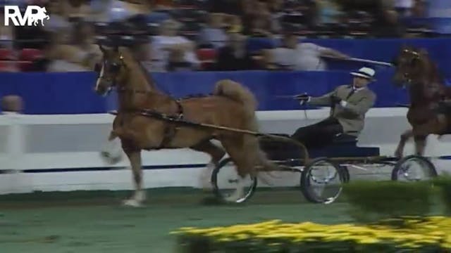 2004 World's Championship Horse Show ...