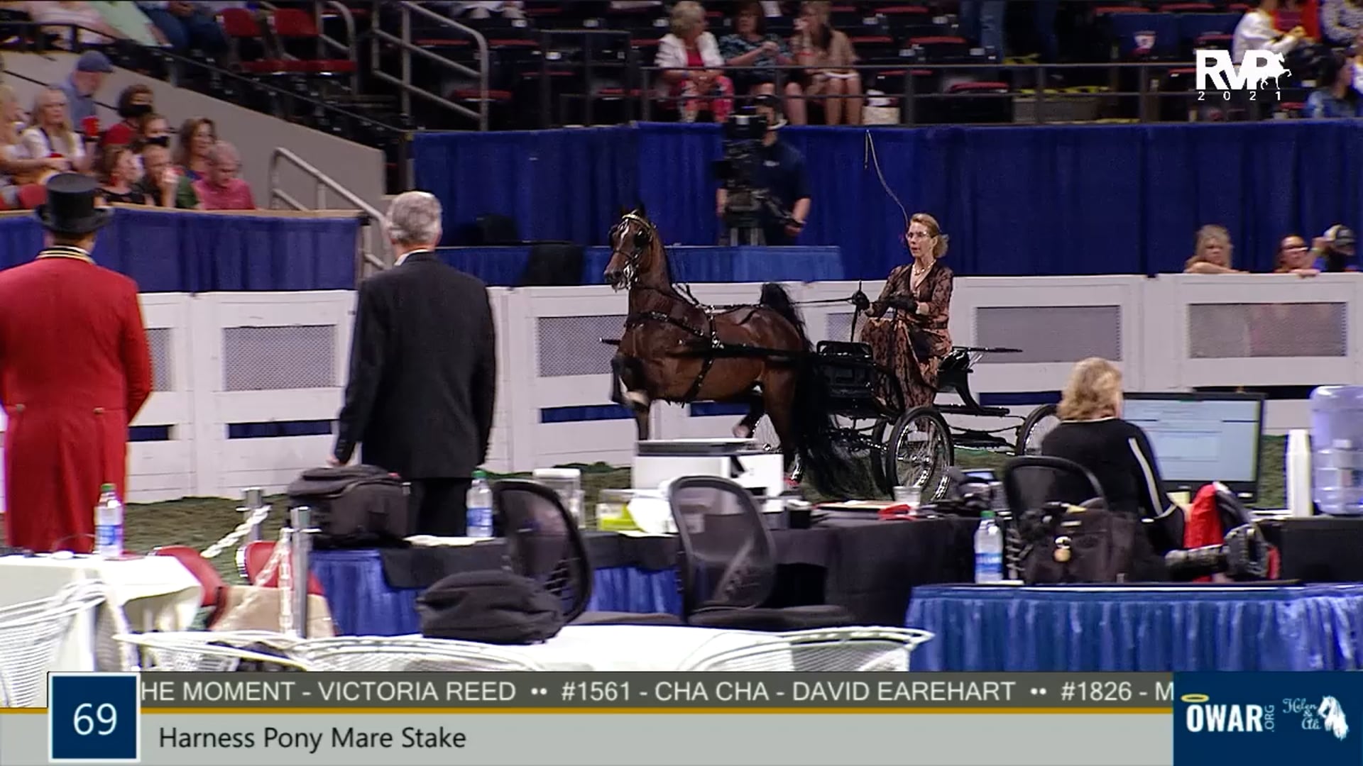 WCHS21 - Class 69 - Harness Pony Mare Stake