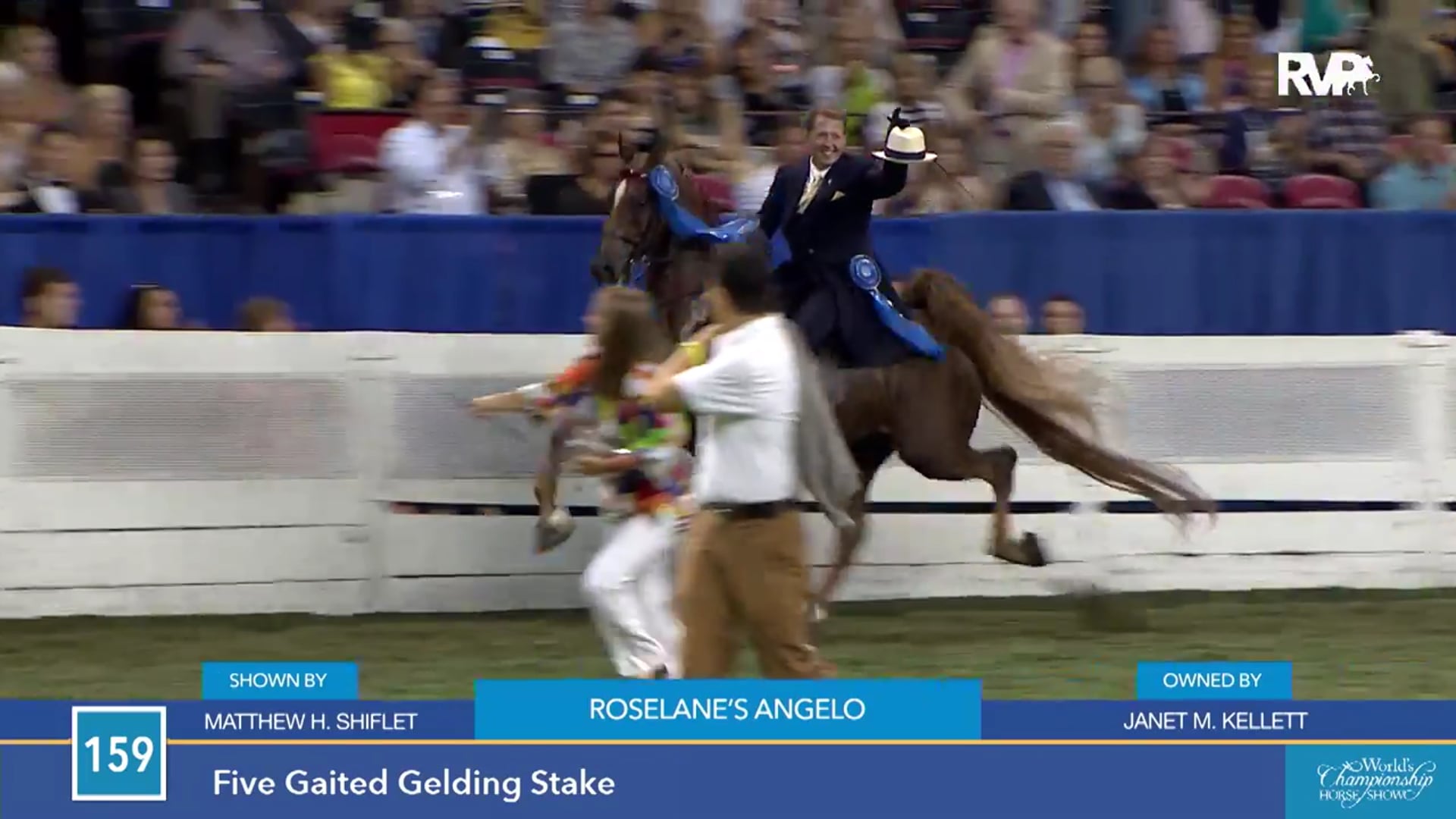 WCHS15 - Roselane's Angelo - Stake 