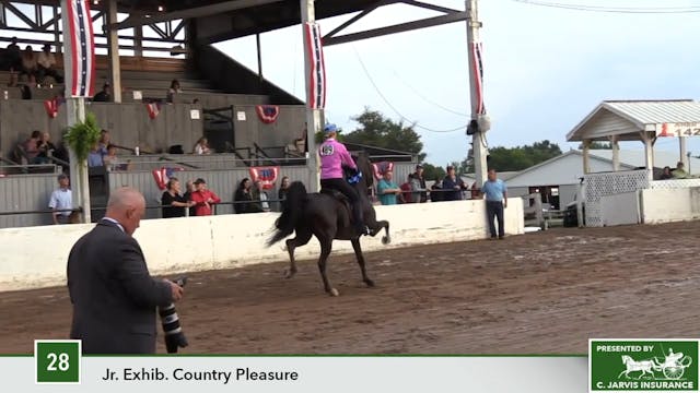MCF17 - Class 28 - Brookhill's Knockout