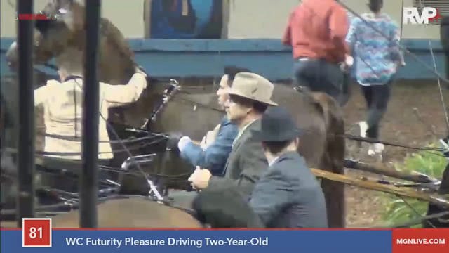 2015 MGN - Class 81 WC Futurity Pleas...