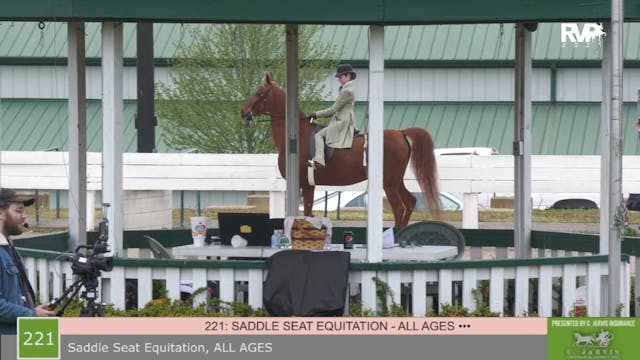 SB21 - Class 221 - Saddle Seat Equita...