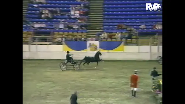 1988 AR - Class 95 Amateur Harness Po...