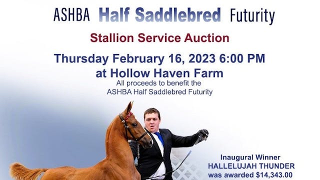 2023 Half Saddlebred Futurity Auction  