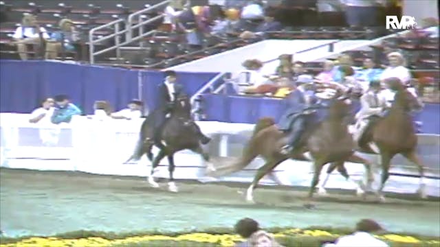 1991 WCHS Class 57 Equitation Open Ri...
