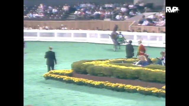 1989 WCHS Class 10 Kentucky County Fa...