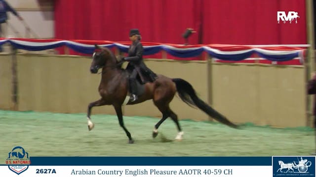 AN25 - Class 2627a - Arabian Country ...