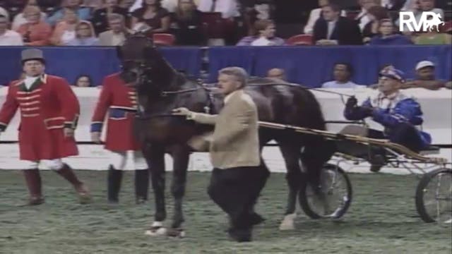 2007 WCHS Class 210 Amateur Roadster ...