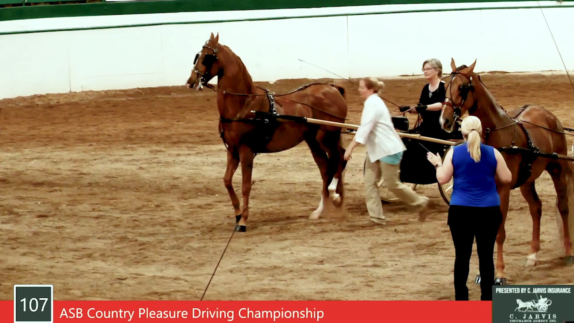 SS21 - Class 107 - ASB Country Pleasure Driving Championship