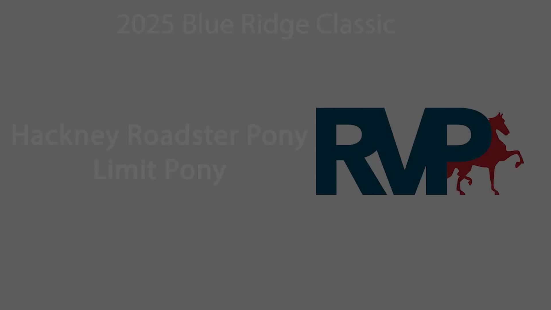 BRC25 - Class 4 - Hackney Roadster Pony Limit Pony