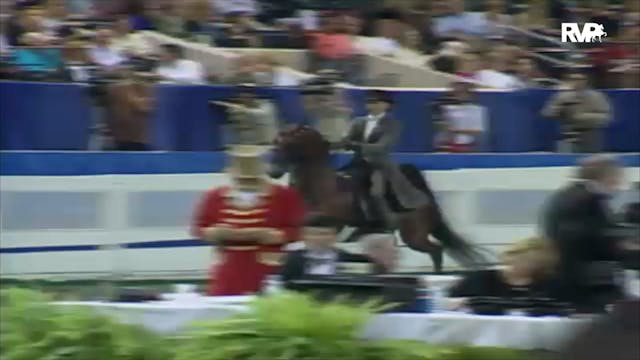 2000 WCHS Class 161 Three Gaited Pony...