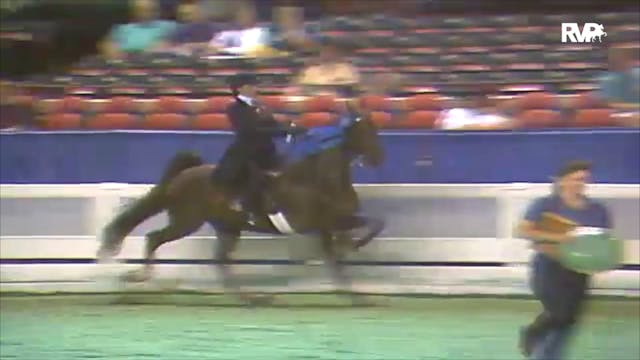 1992 WCHS Class 49 Equitation Rider 1...