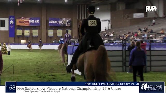 AR23 - Class 168 - Five Gaited Show P...