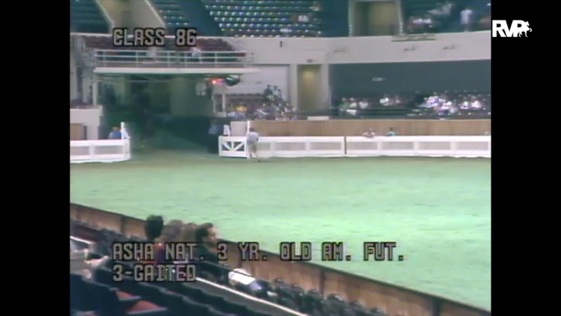 1989 WCHS Class 86 ASHA National Three Year Old 
Amateur Futurity Three Gaited