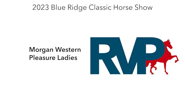 BR23 - Class 161 - Morgan Western Ple...