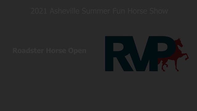 ASF21 - Class 11 - Roadster Horse Open