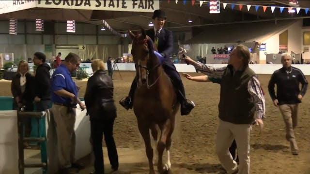 GASP17 - He's In Style