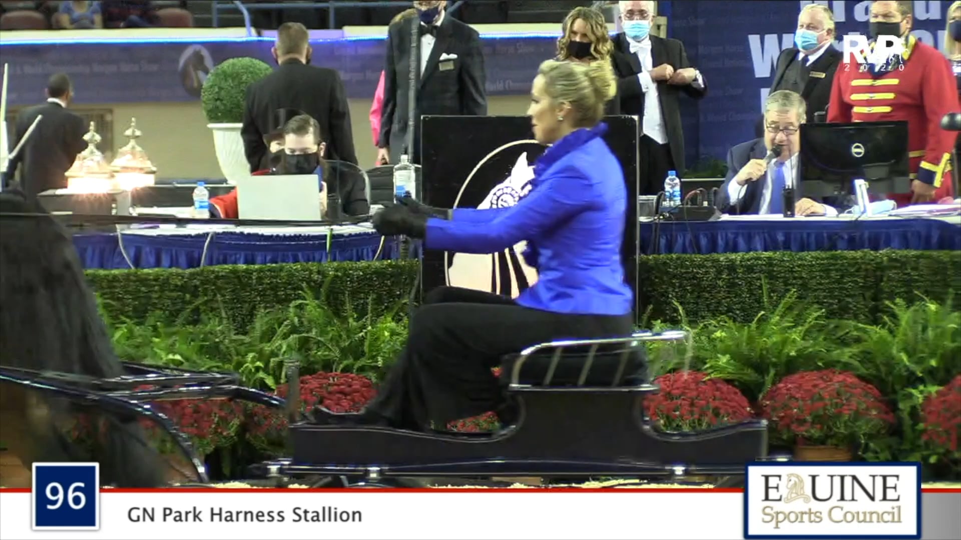 2020 MGN - Class 96 GN Park Harness Stallion