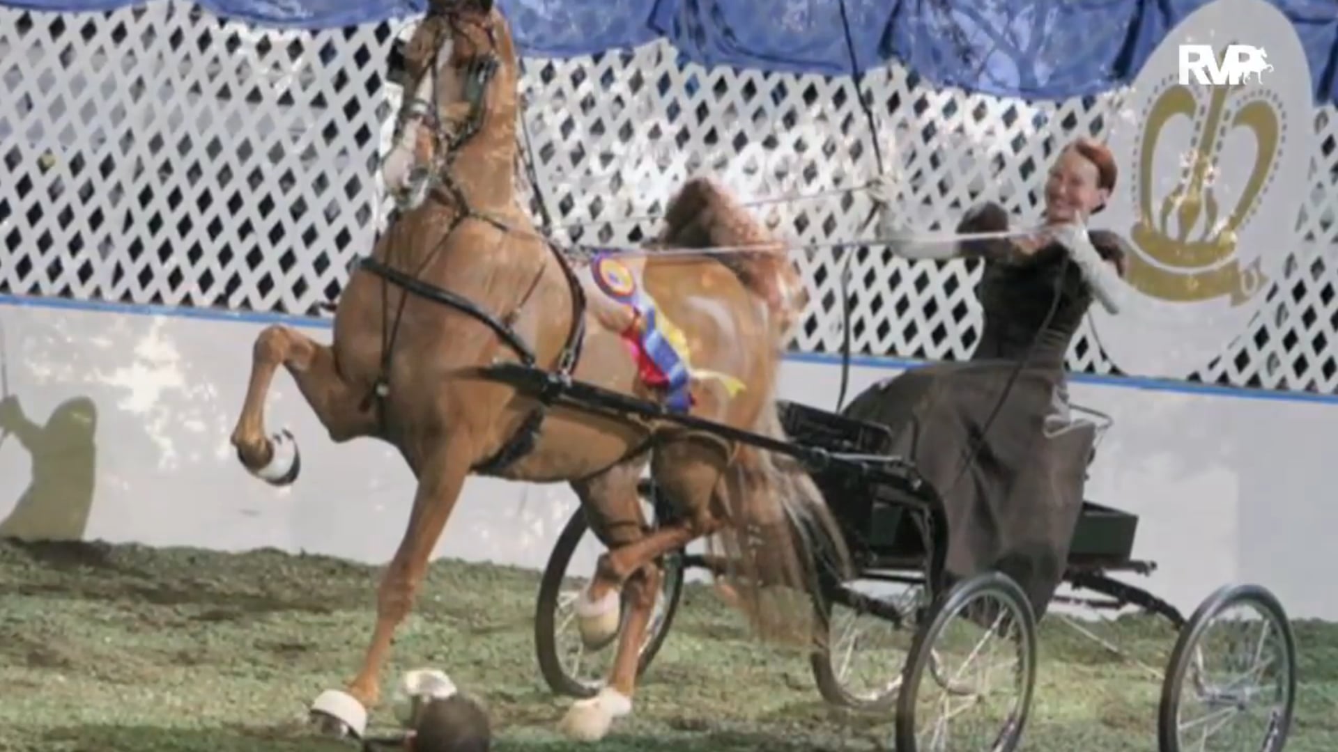 NCSC16 - Wednesday Evening