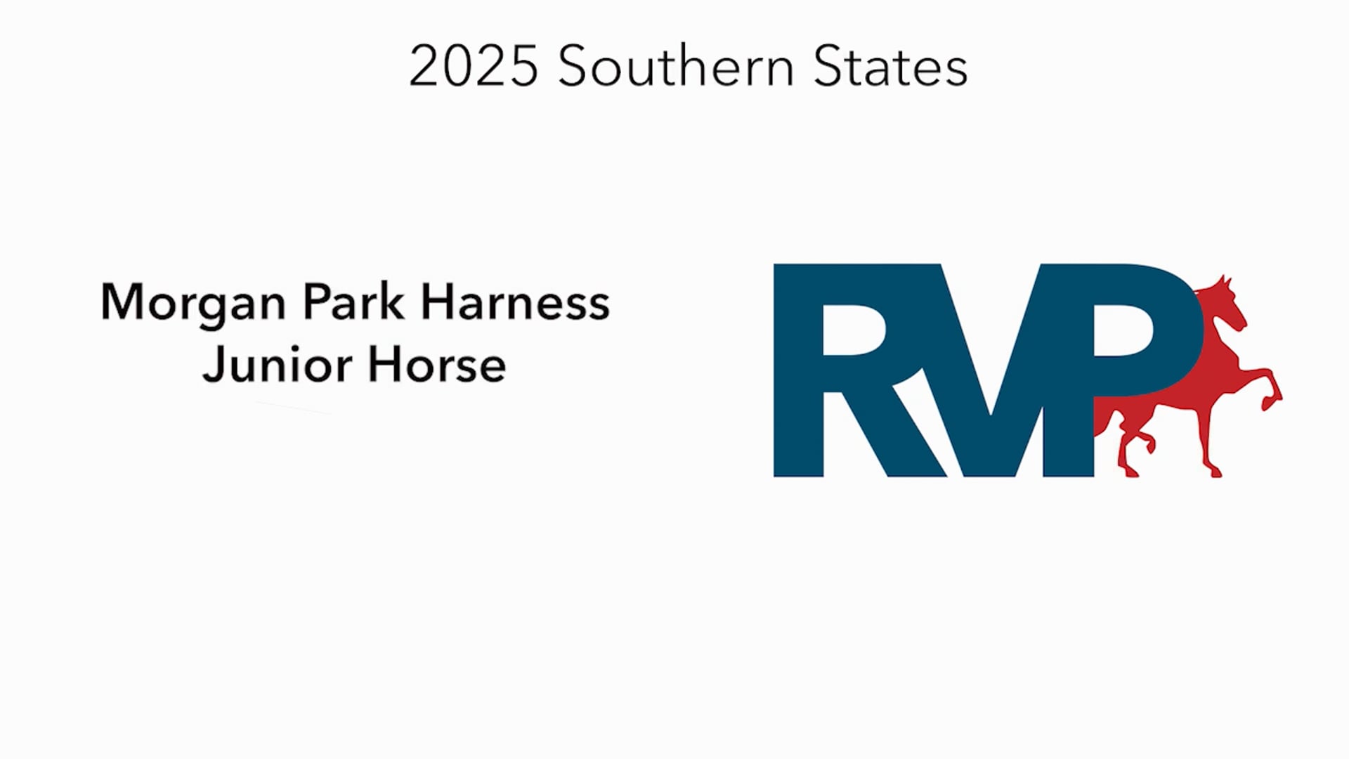 SS25 - Class 86 -  Morgan Park Harness Junior Horse