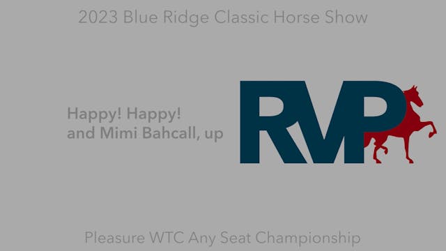 BR23 - Class 132 - Happy! Happy! and ...