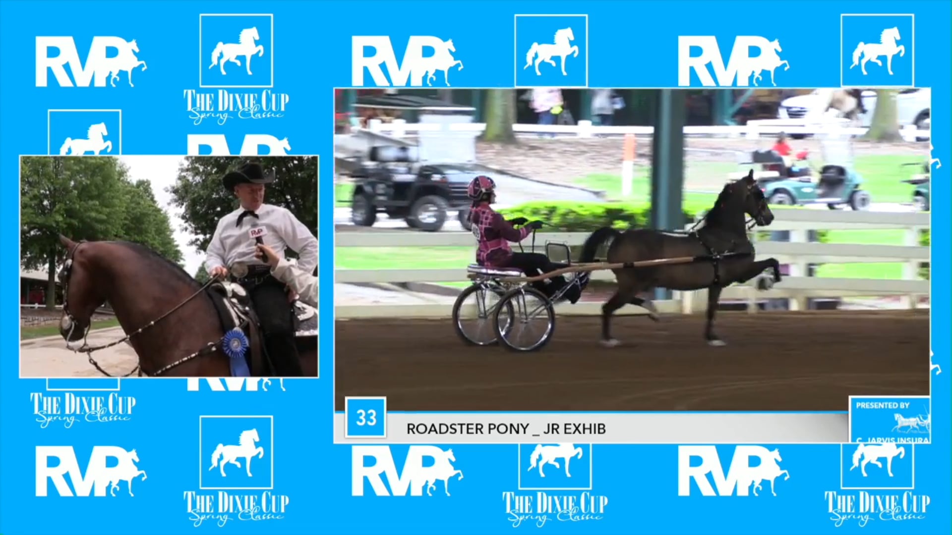 DC17 - Hollybrook Boy Toy