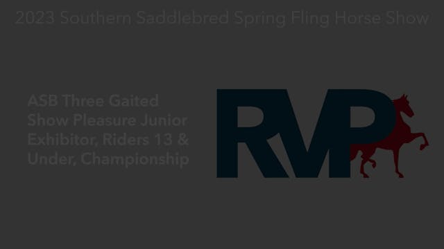RR23 - Class 142 - ASB Three Gaited S...