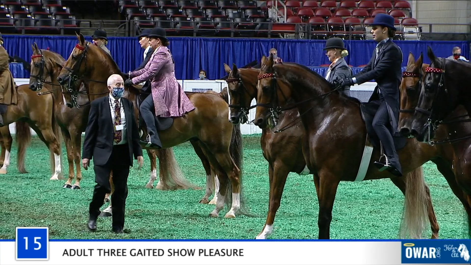 WCHS 2020 Class 15 - Adult Three Gaited Show Pleasure