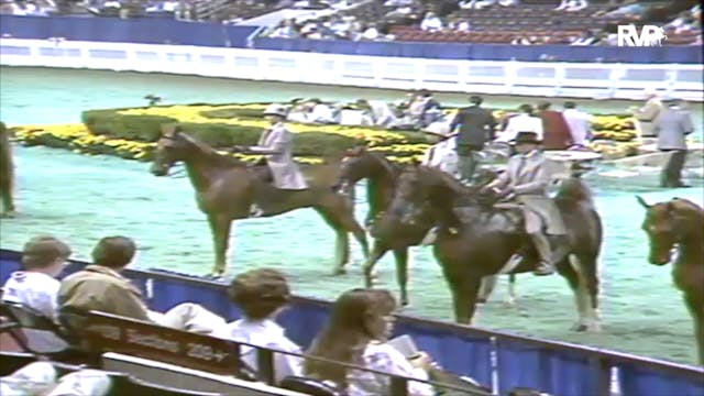 1991 WCHS Class 70 Junior Exhibitor F...