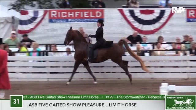 2017 RC - Class 31 ASB Five Gaited Sh...
